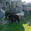 zoo 27